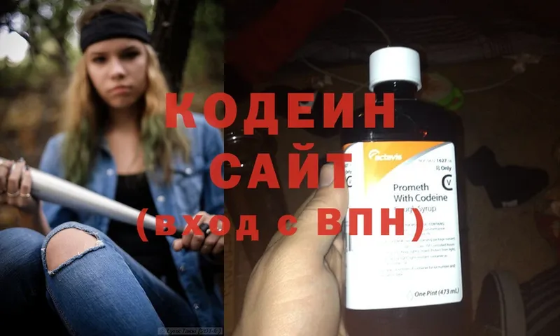 купить закладку  Лобня  Кодеиновый сироп Lean Purple Drank 