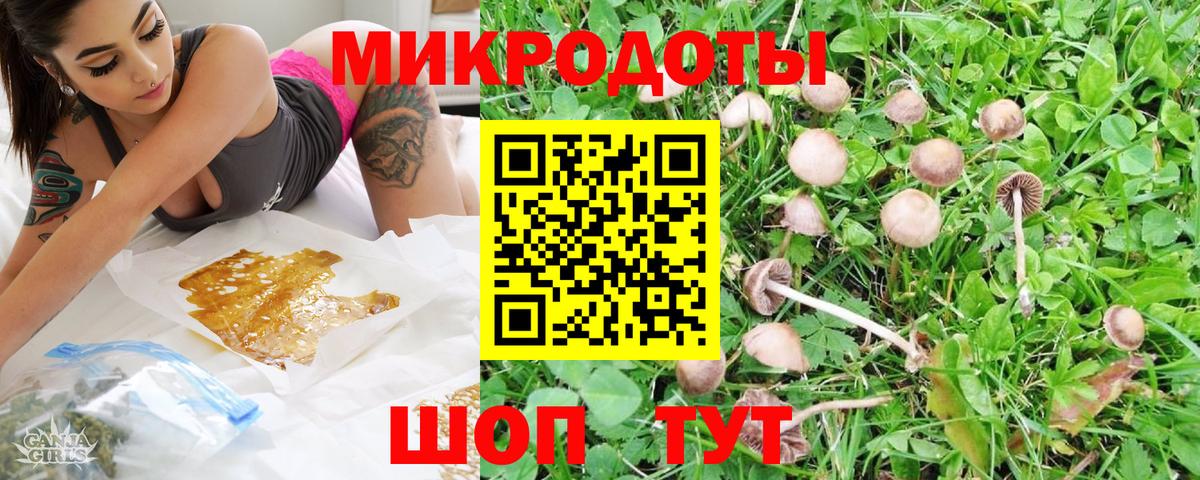 Галлюциногенные грибы мухоморы Лобня