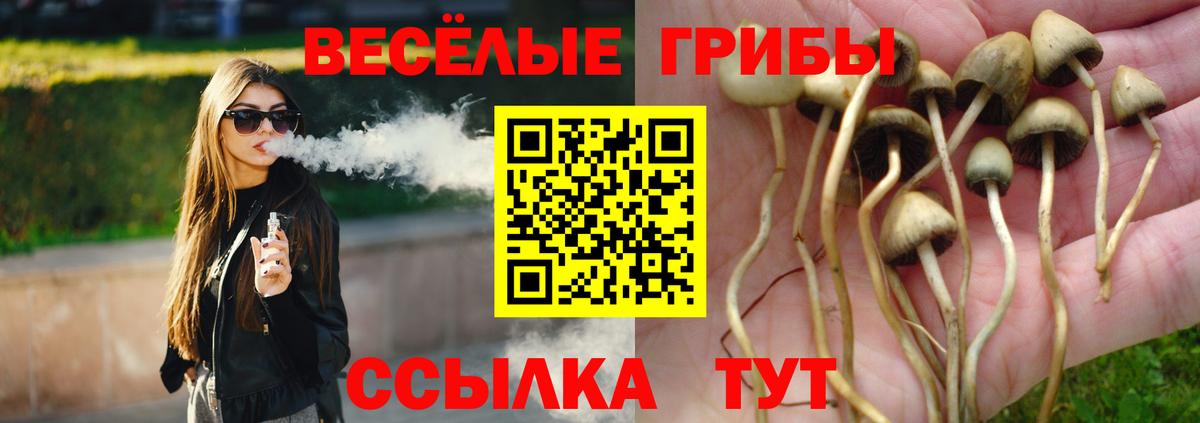 Галлюциногенные грибы мицелий  Псилоцибиновые грибы Psilocybe  наркота  Вход с VPN  Лобня 